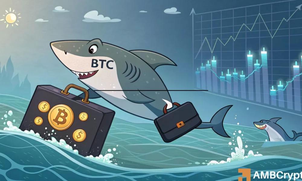 The Rise of Bitcoin to 1,000: Two Factors Behind it, But is this a Bull Market Trap?