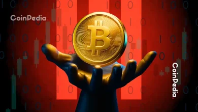 Exclusive: Bitcoin Price Surges Past 5,000, Bitwise Strategist Reveals Next Move